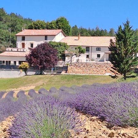Domaine De Prefaissal Bed & Breakfast Mezel  Bagian luar foto