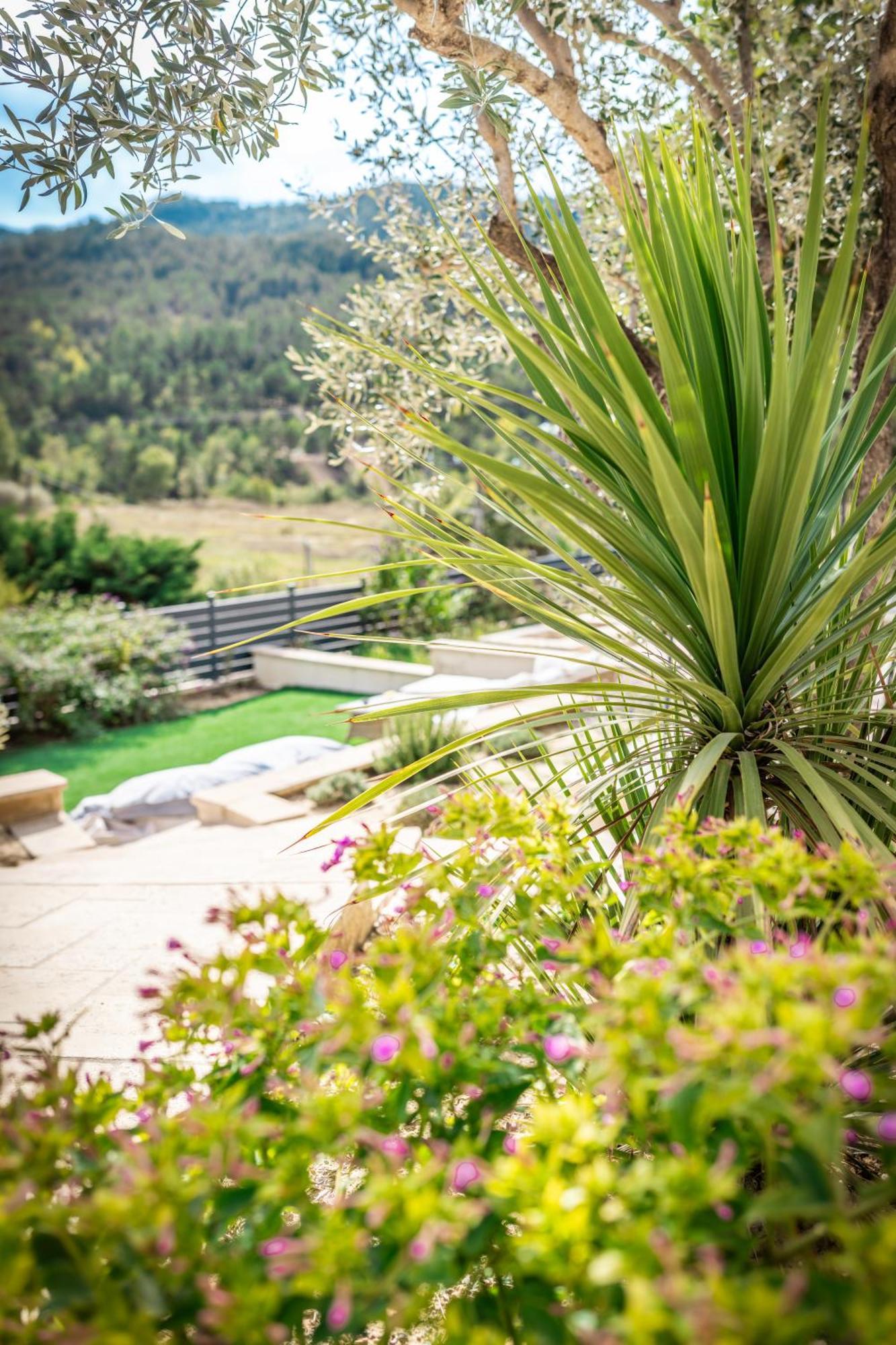 Domaine De Prefaissal Bed & Breakfast Mezel  Bagian luar foto